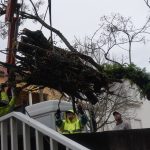 Apesar dos estragos, Seminário de Coimbra está preparado para realojamento