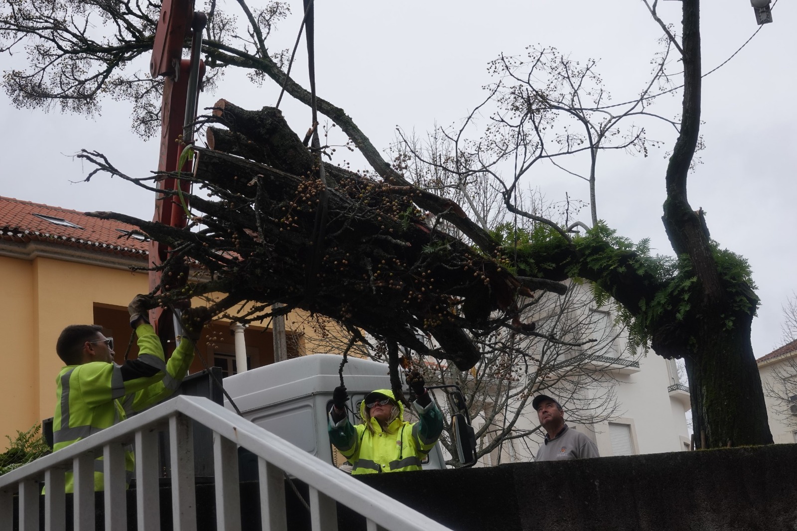 Foto: www.coimbra.pt