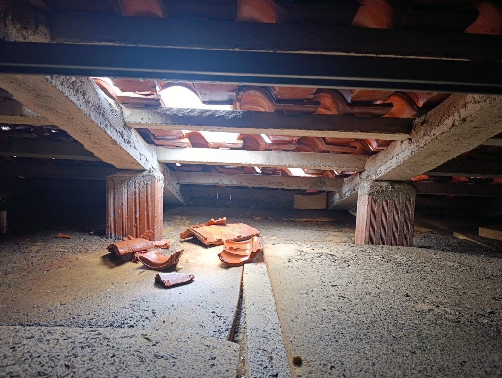 Foto: UP Nascentes de Vida