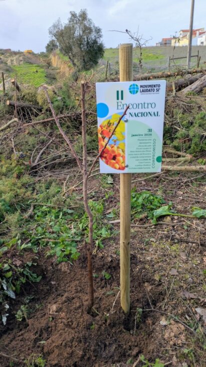 Foto: Círculo Laudato Si de Santo António dos Olivais